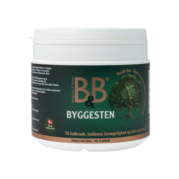 B&B Byggesten 100g