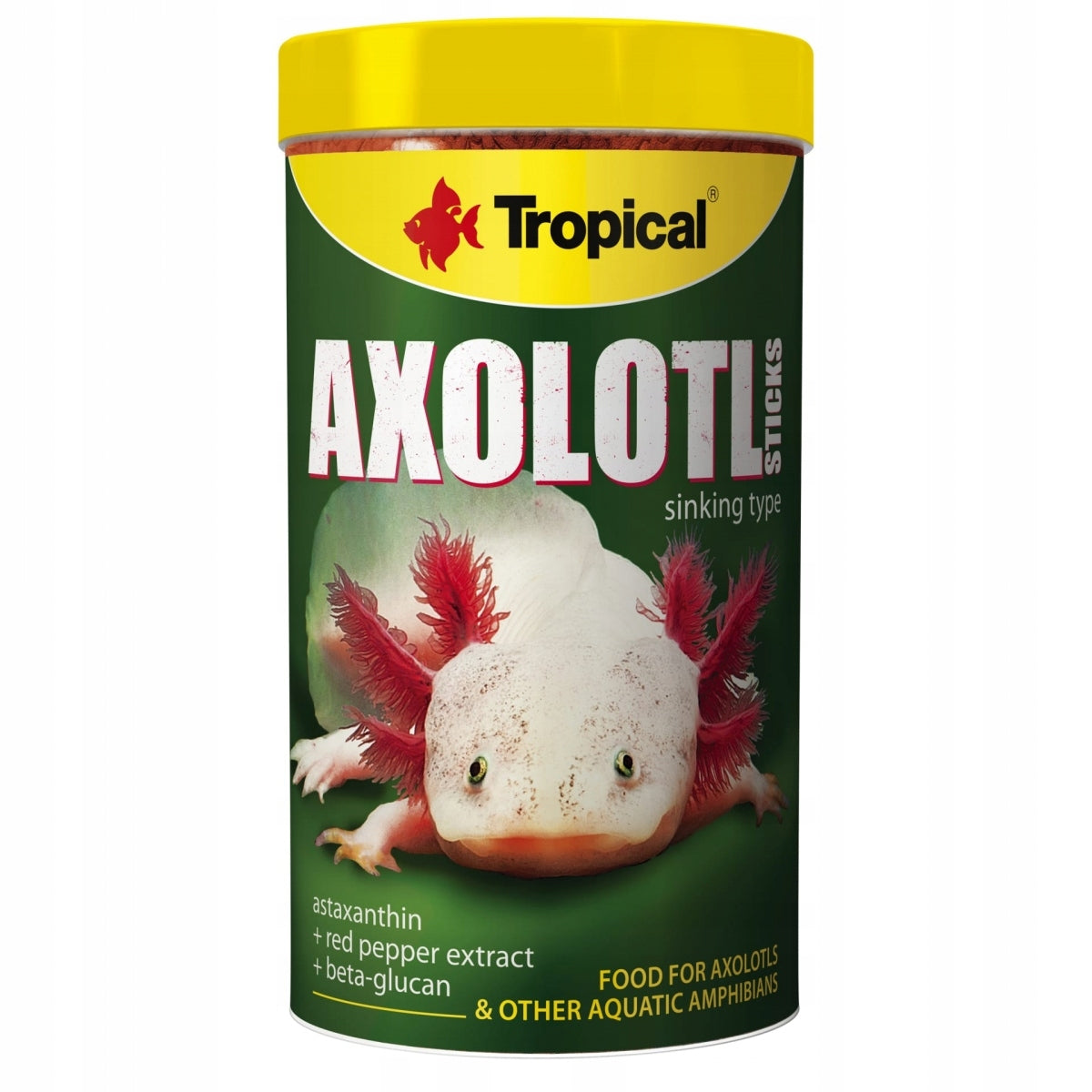 Tropical Axolotl