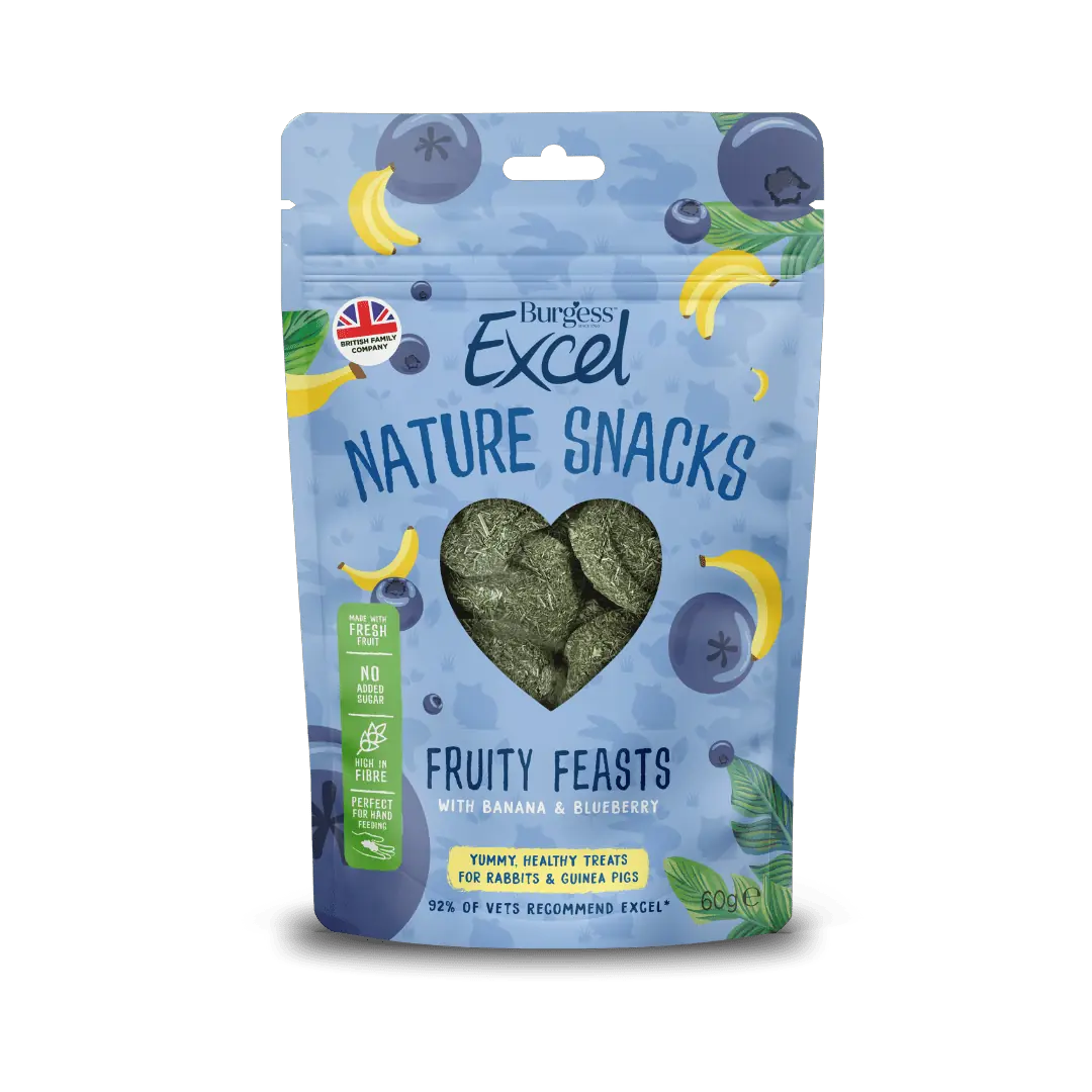 Burgess Excel Natures Snack Fruit Feast, 60g