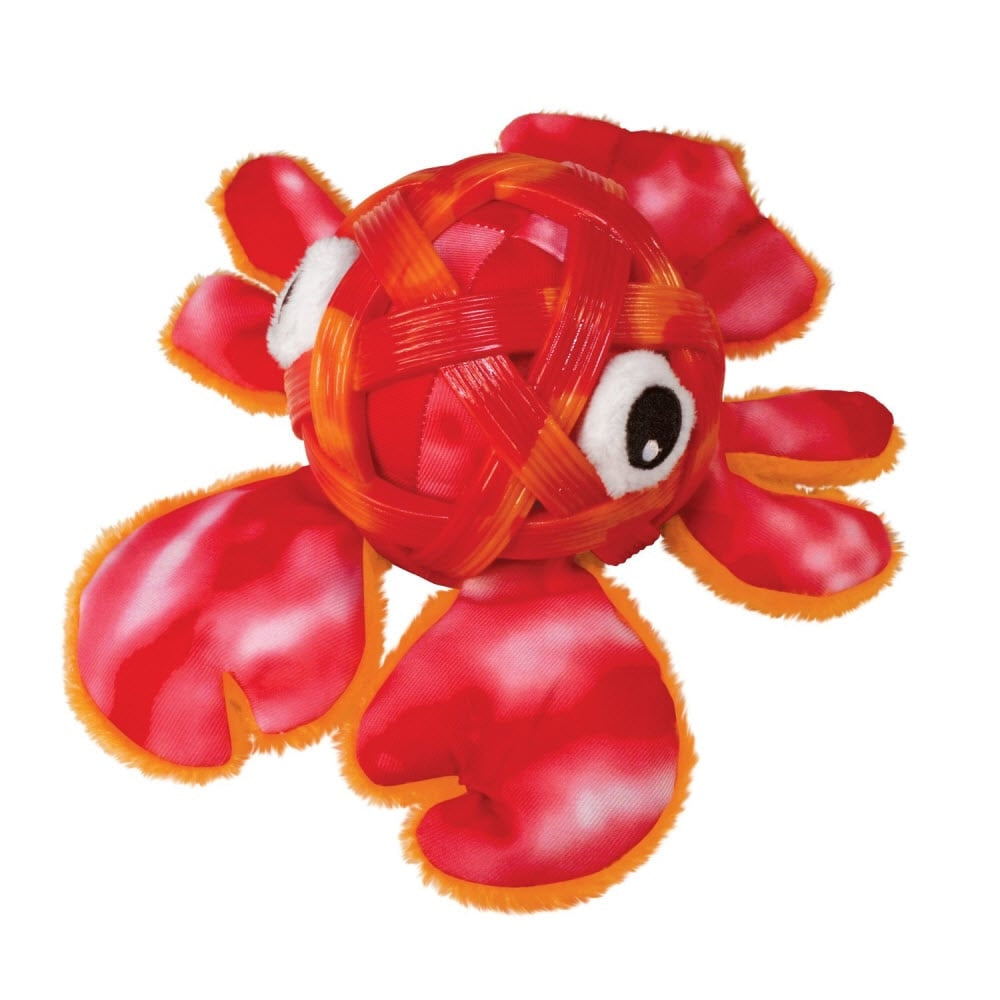 Kong Sea Shells
