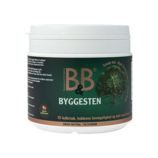 B&B Byggesten 100g