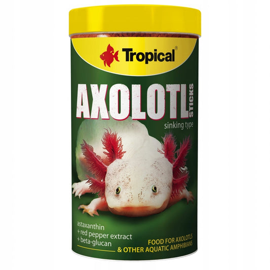 Tropical Axolotl