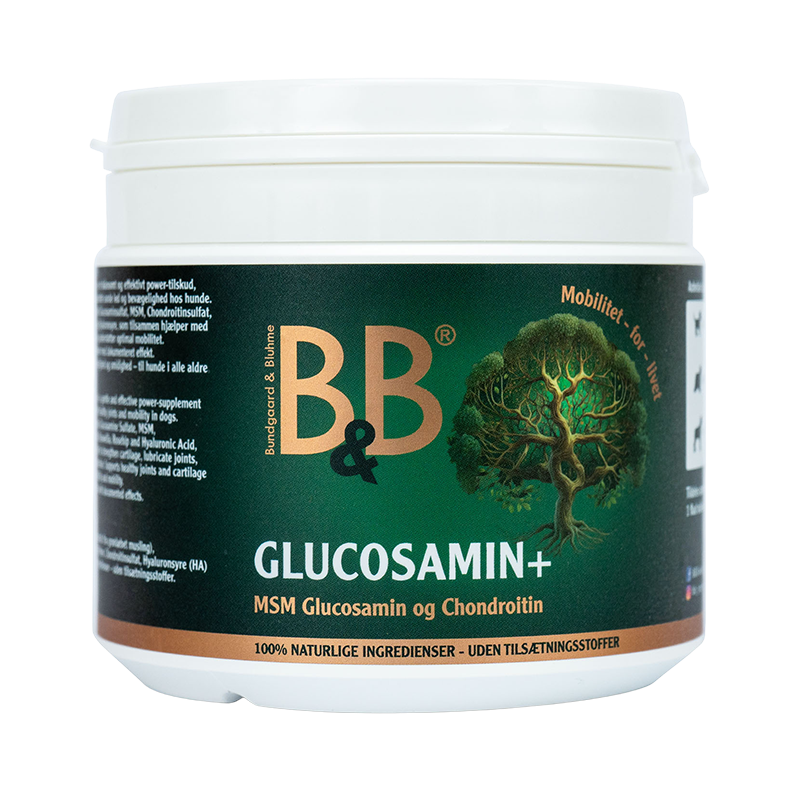 B&B Glucosamin+, 250g