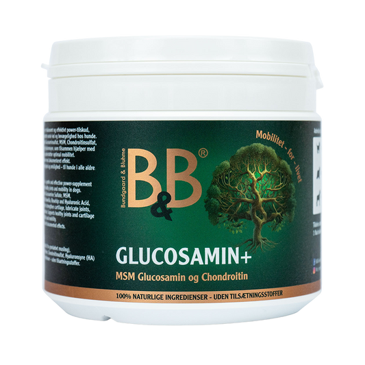 B&B Glucosamin+, 250g
