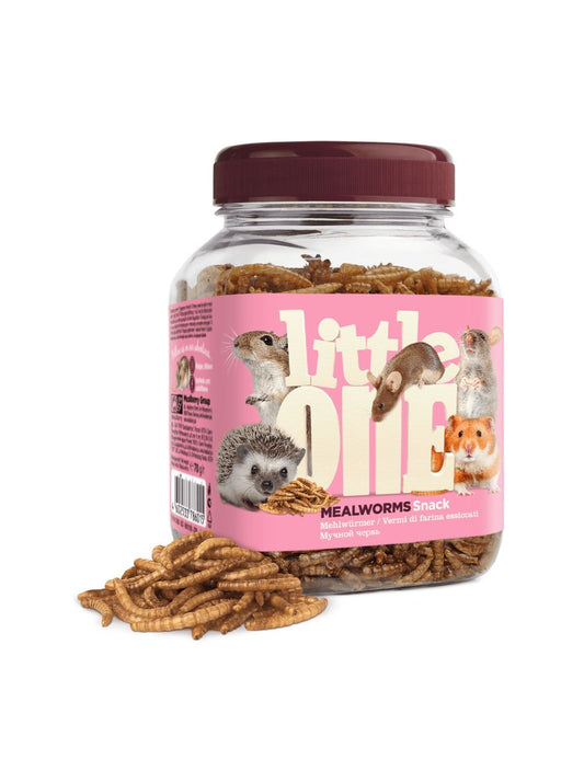 Little one Mealworms, 70 g
