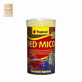 Tropical Red Mico