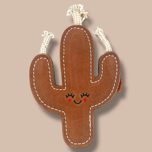 PocoLogo Copenhagen Sandy Cactus