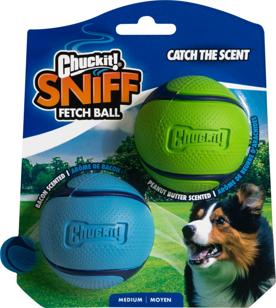 Chuckit Sniff Balls, 2-pack