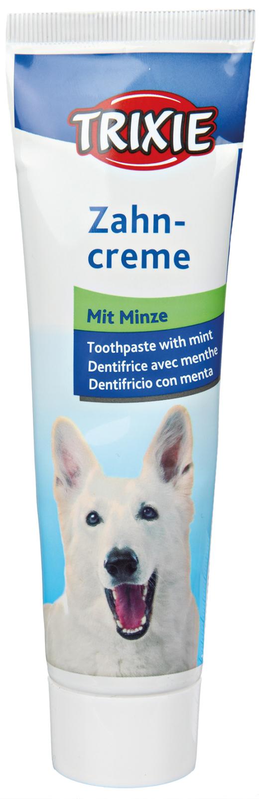 Hundetandpasta, 100g