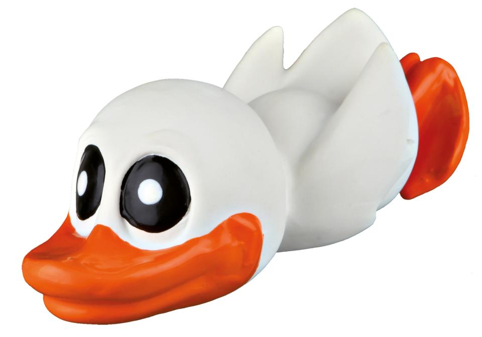 Pivedyr