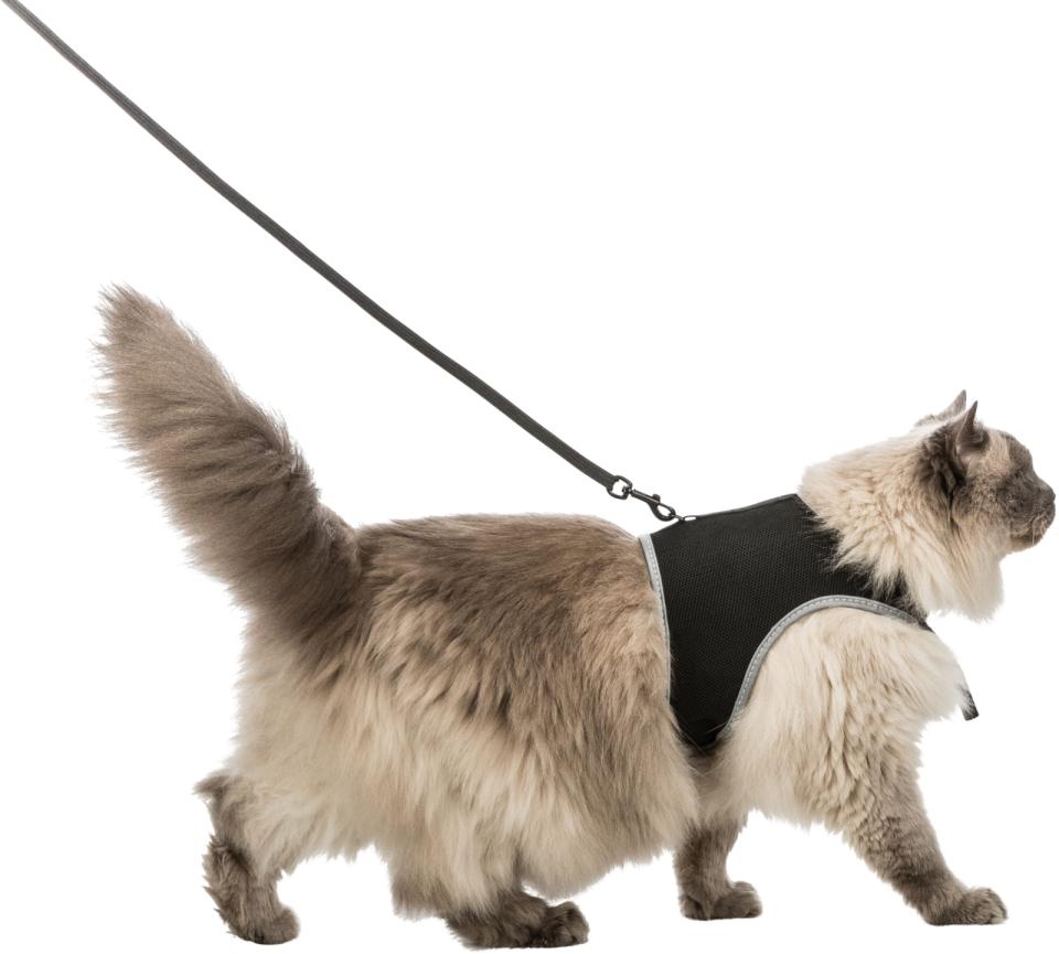 Kattesele, vest
