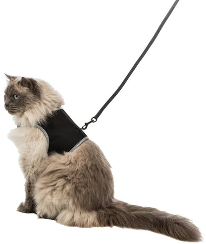 Kattesele, vest