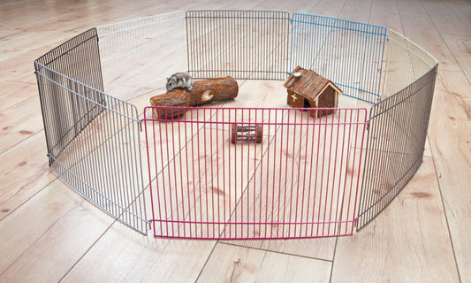 Indendørs løbegård til gnavere
